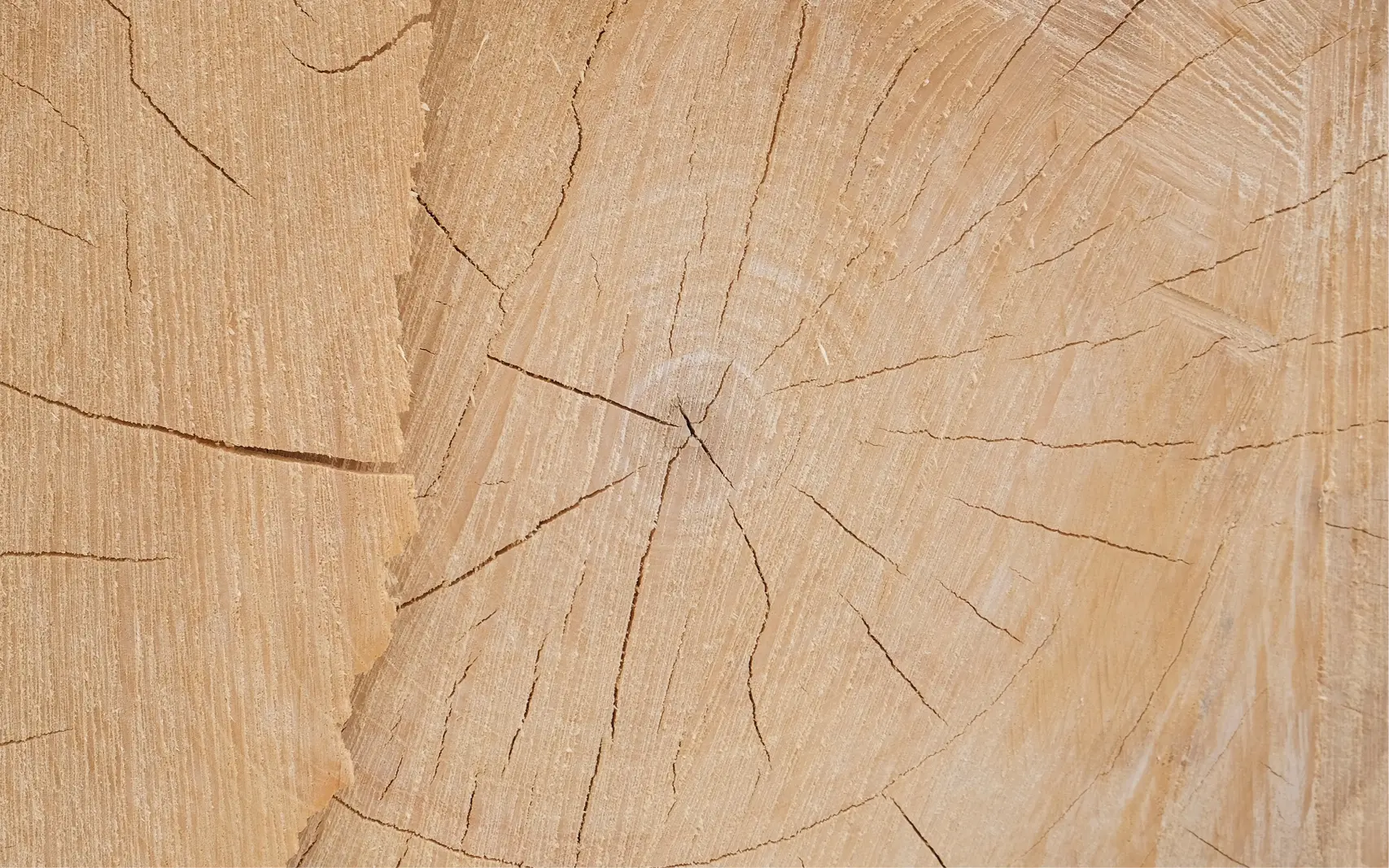 Makroaufnahme einer natürlichen Holzmaserung mit sichtbaren Jahresringen und Rissen, symbolisiert nachhaltige Materialien, Naturdesign und hochwertige Verarbeitung für moderne Wohn und Küchenkonzepte.